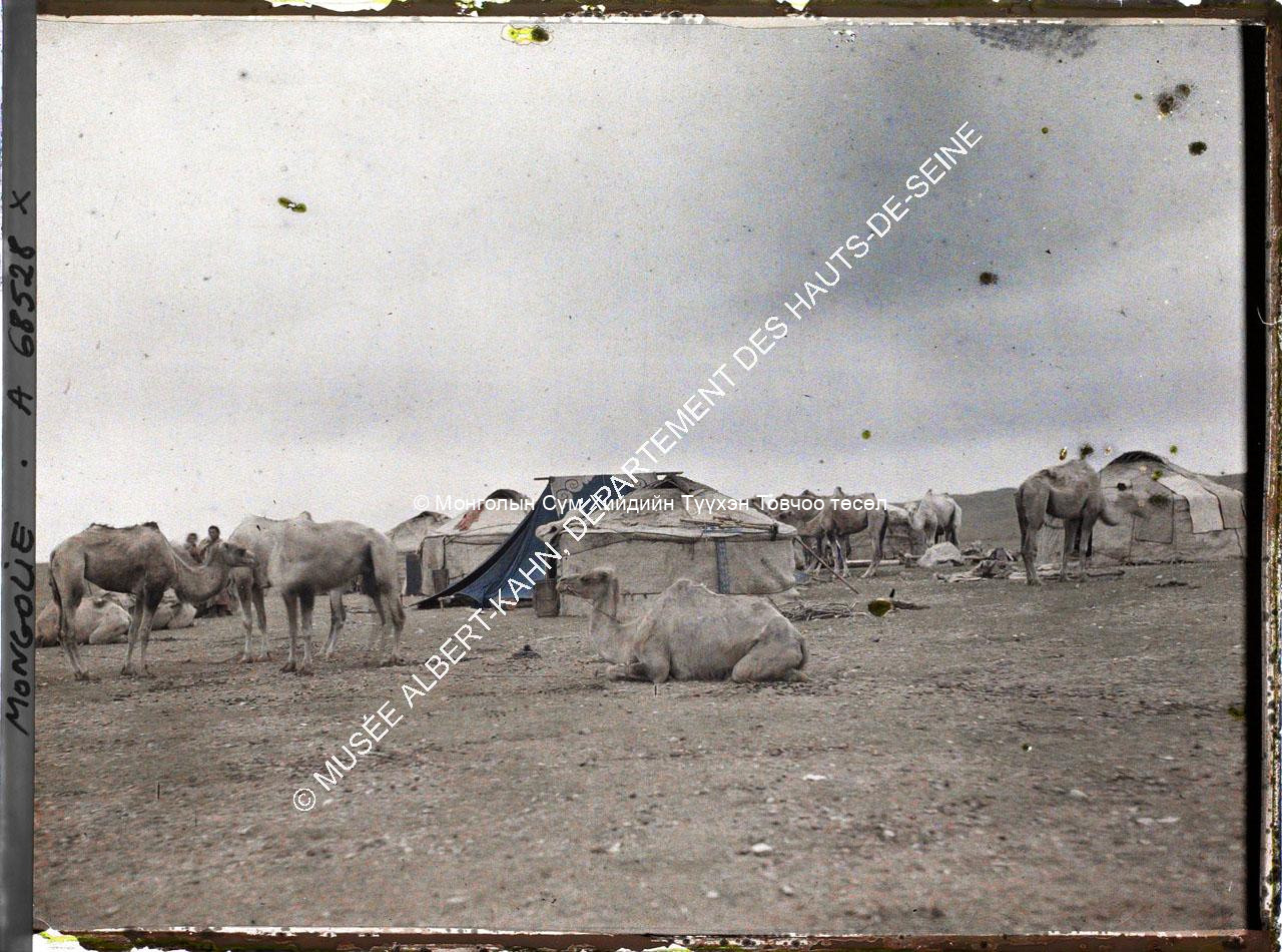 Yurts, tents, and camels behind Gandan (?). Musée Albert-Kahn. A68528. Photo by Stéphane Passet, July 1913